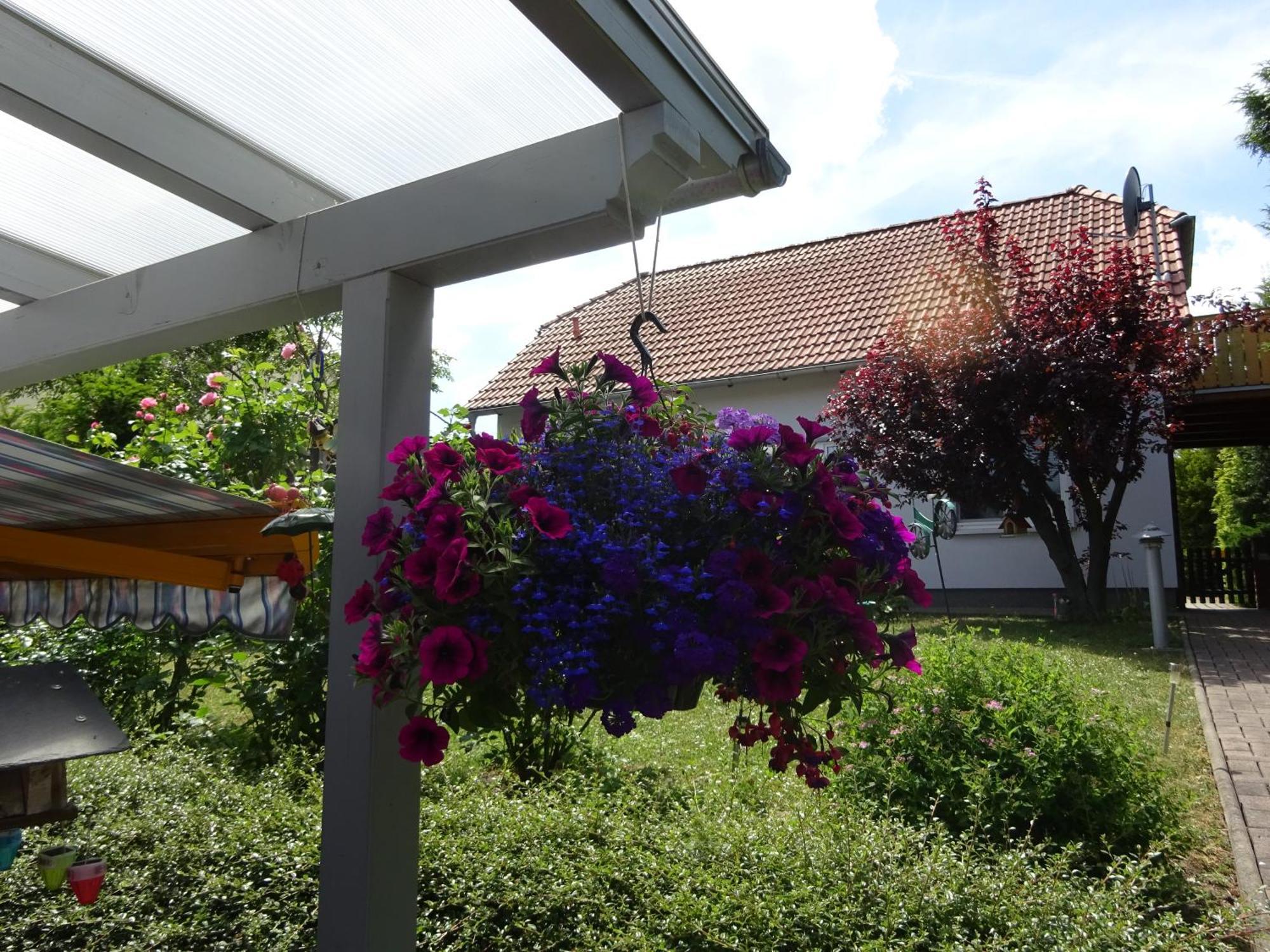 Apartment Relax Ilsenburg